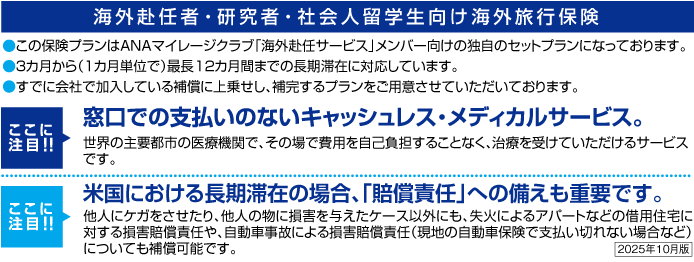 AIG損保の海外長期滞在者保険